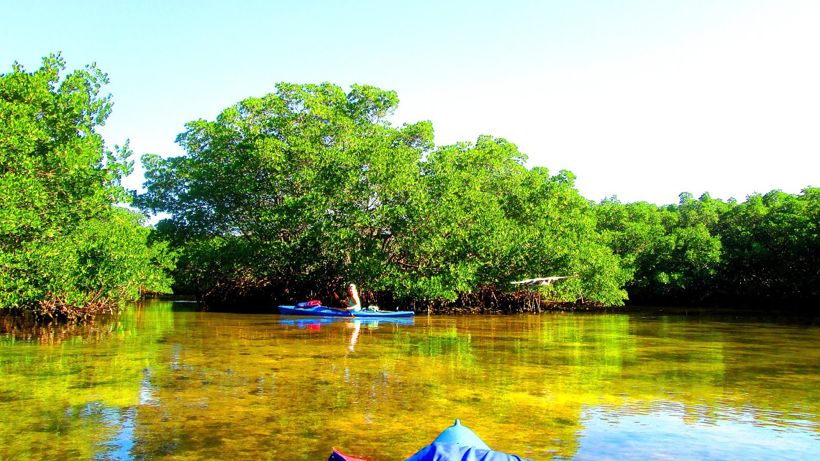 Weedon Island Preserve Kayak Kayak Choices