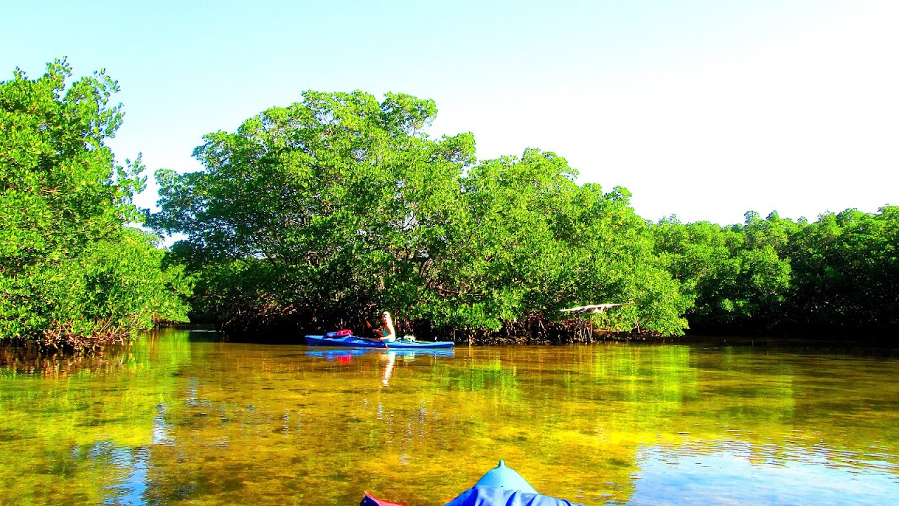 Weedon Island Preserve Kayak Kayak Choices