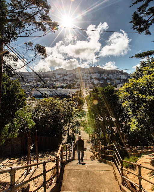 This Week in Noe Valley The Last Video Stores, Rec Center Block Party