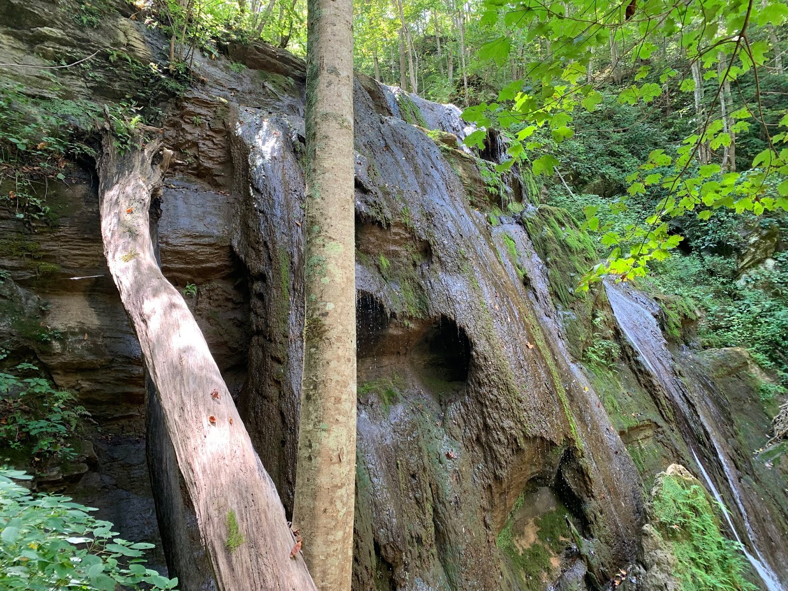 Lee County Hiking Club
