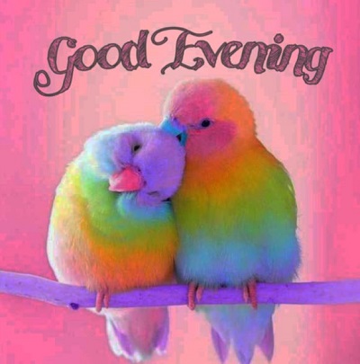 Good evening Images | Best 25+ Good evening Images Good evening Images | Best 25+ Good evening Images