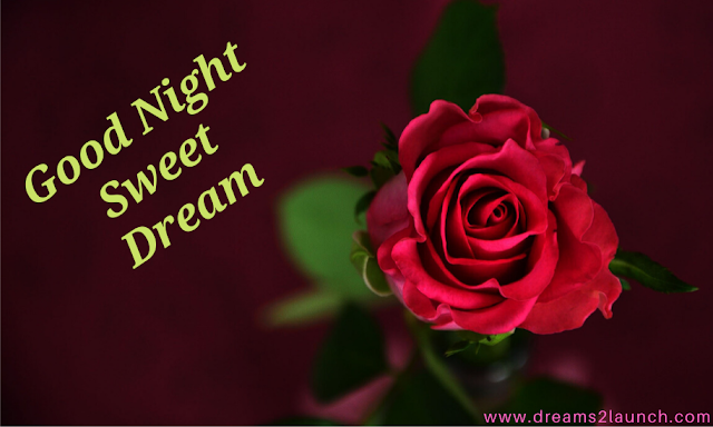 cute good night images cute good night images