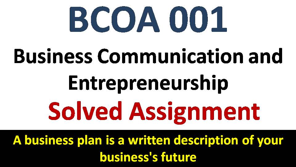 conceptualize your future business plan example