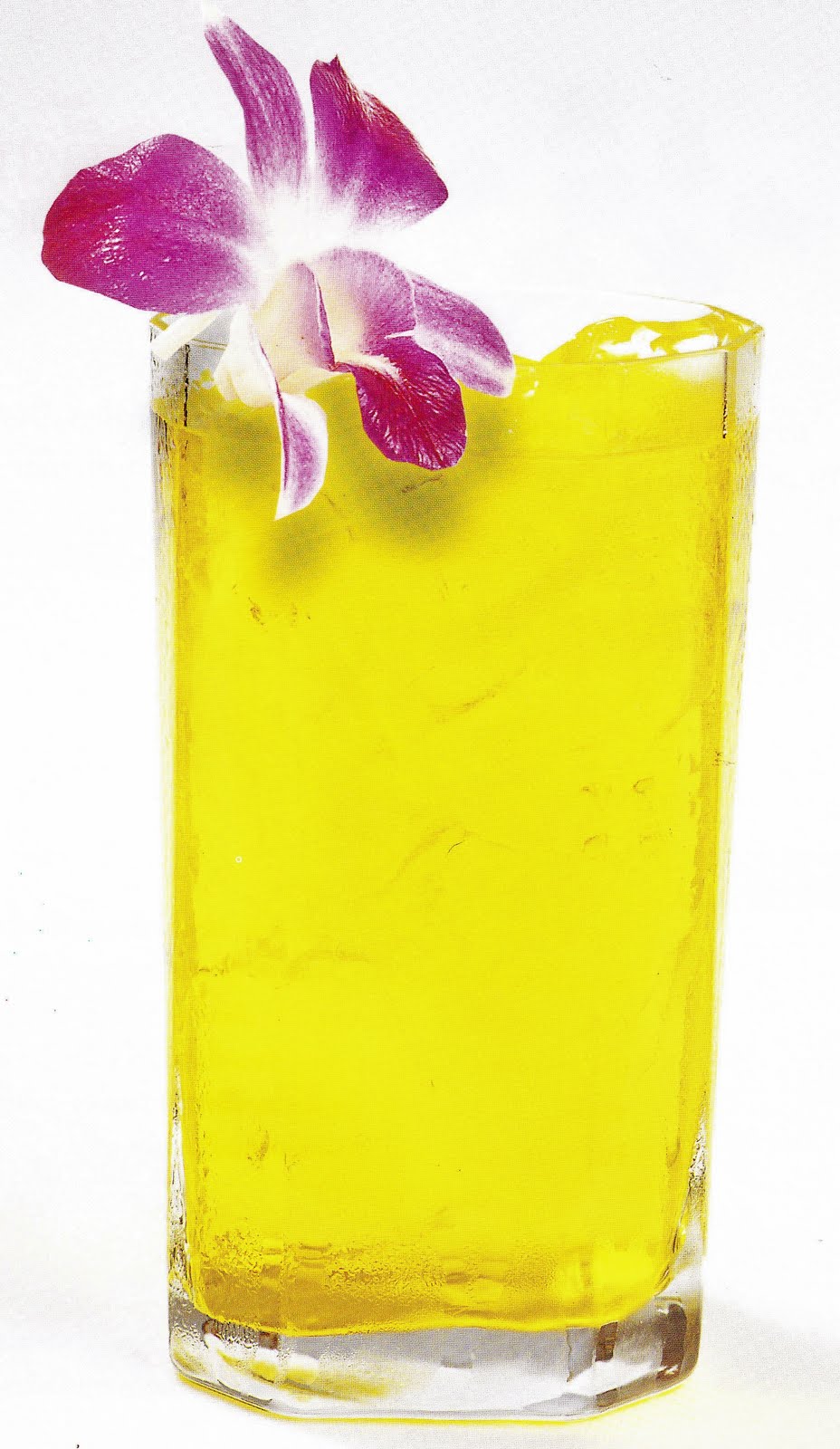 Juicing for Health น้ำเก๊กฮวย (Chrysanthemum Juice)