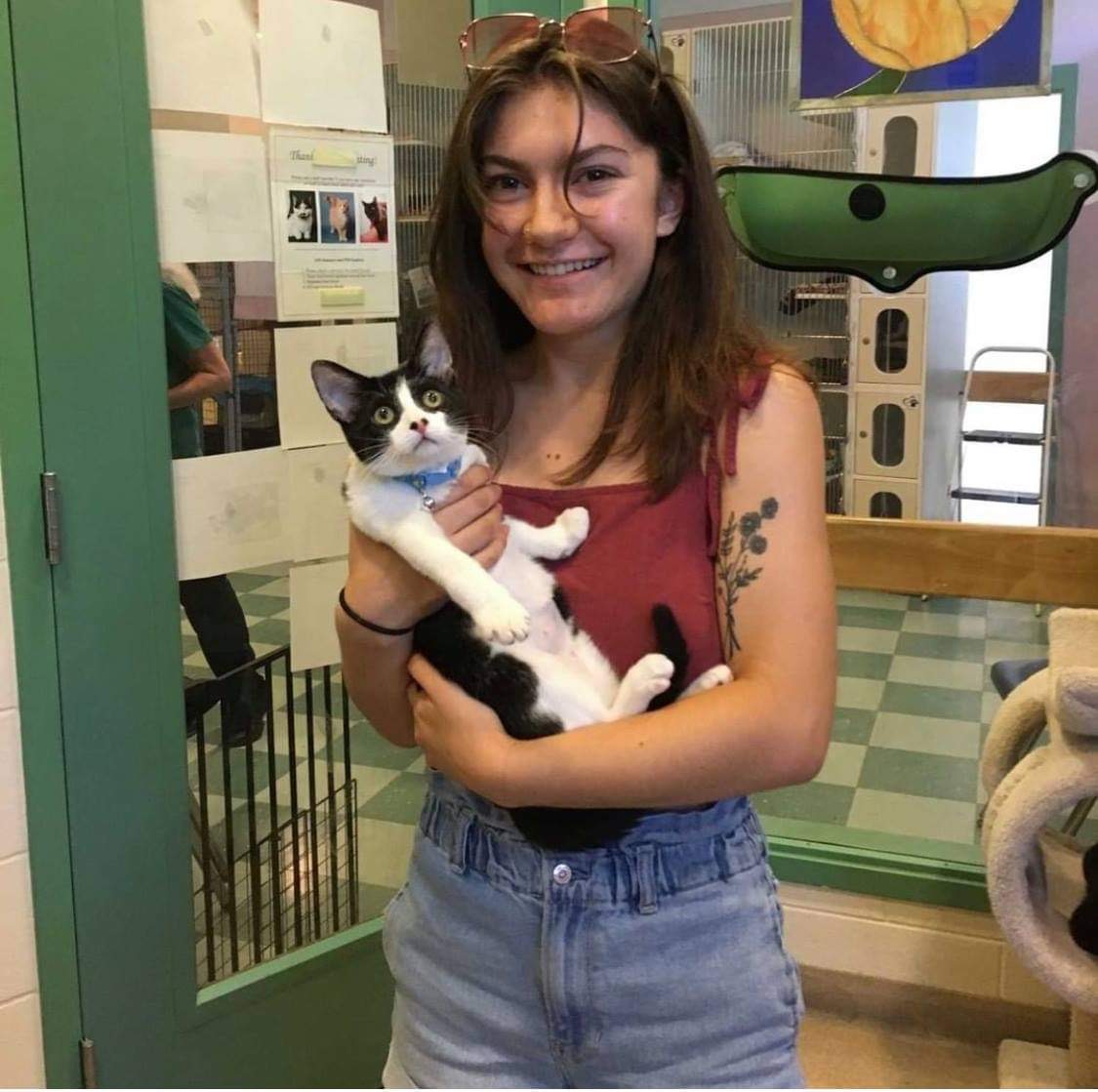 Good Karma Pet Rescue Cat Information Page June Transport Pictures