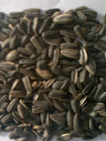 sunflower seeds ahmedabad