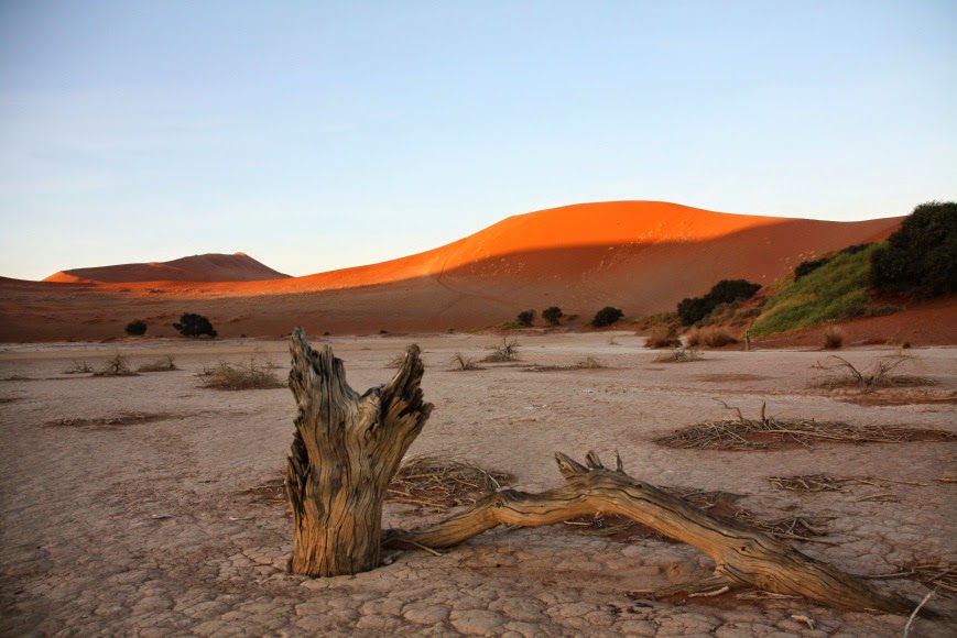 Цэмка Нармандахын: Ахих бус буурая, гэхдээ цөлжилтөөр