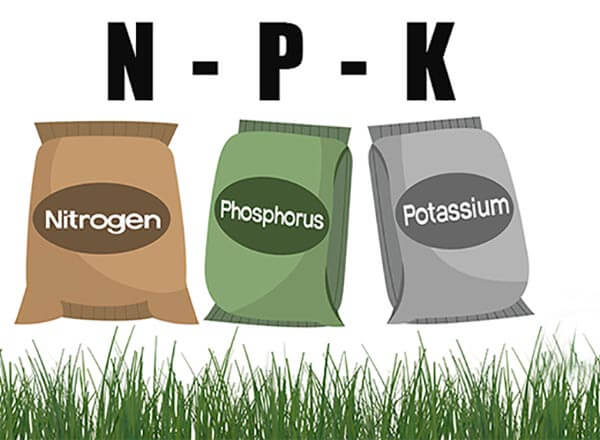 Best NPK lawn fertilizer