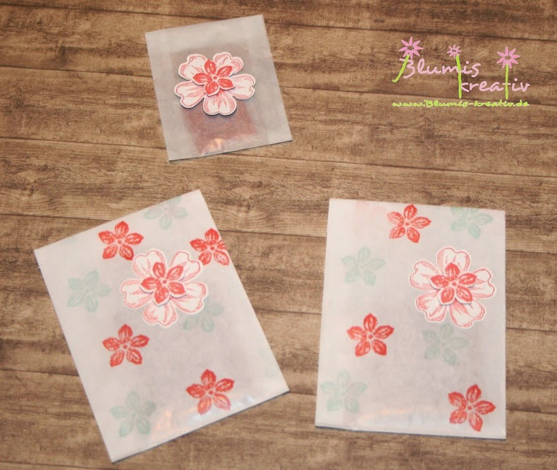 Petra Hat Geburtstag Poksa