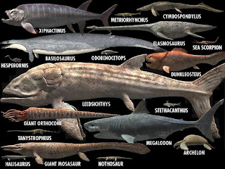 Comparación tamaño animales marinos prehistóricos más grandes Comparación tamaño animales marinos prehistóricos más grandes
