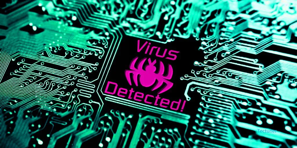 detect the virus in Computer,Computer virus,virus