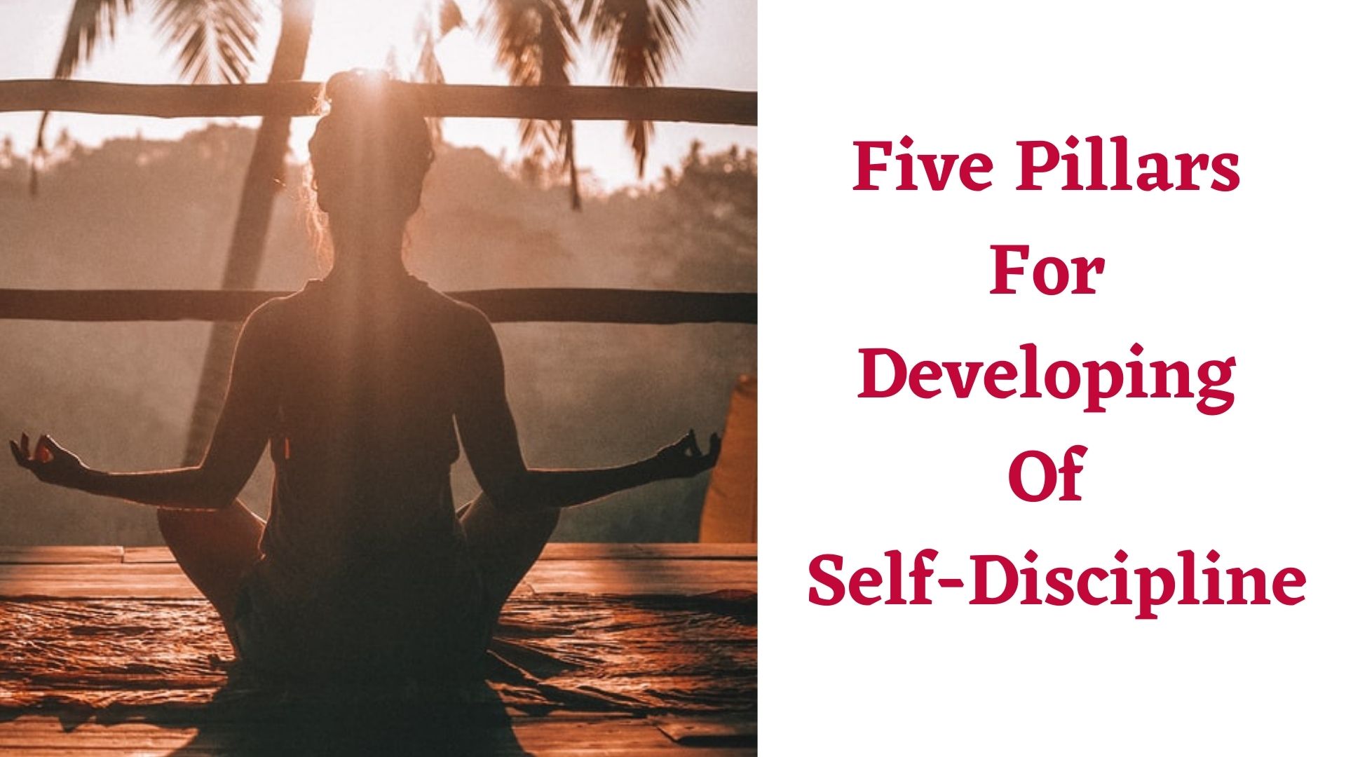 Five Pillars For Developing Of SelfDiscipline