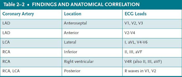 findings and anatomical correlation