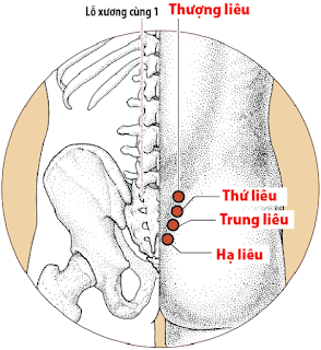 huyệt trung liêu