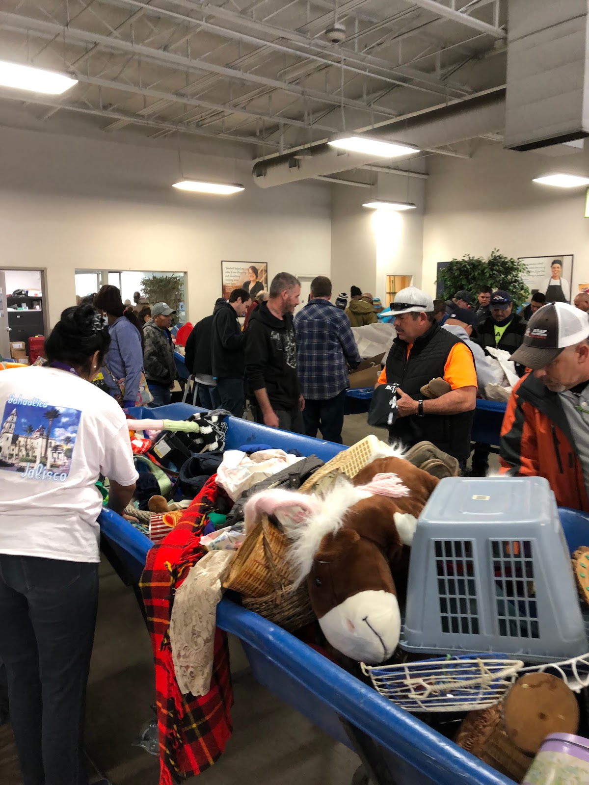 A Rural Squirrel visits the Denver Goodwill Outlet World