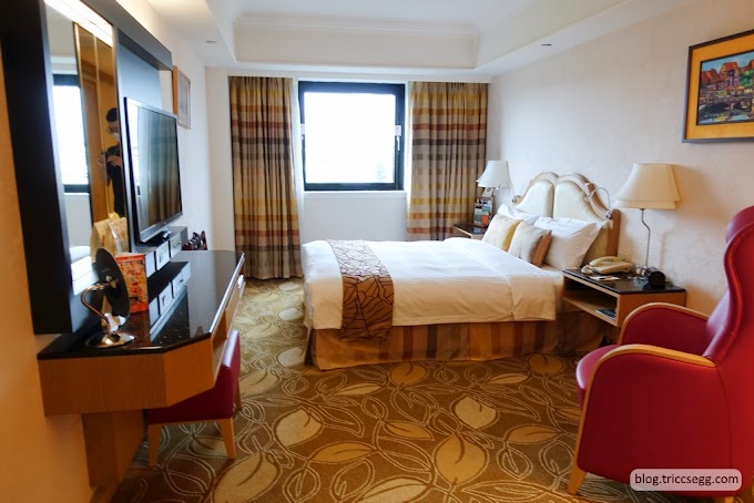 台北中山區 歐華酒店豪華客房一大床(雙人房)-採光佳、隔音好、又可以直接看到飛機！