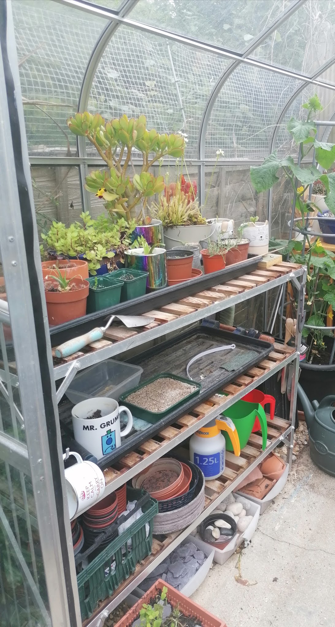 Poppy Patchwork What's in the greenhouse