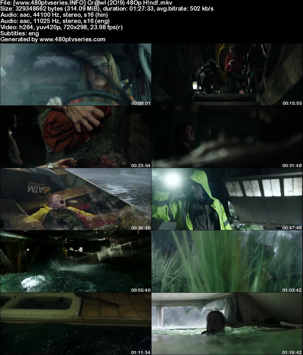 Crawl (2019) 300MB Full Hindi Dual Audio Movie Download 480p Bluray Free Watch Online Full Movie Download Worldfree4u 9xmovies Crawl (2019) 300MB Full Hindi Dual Audio Movie Download 480p Bluray Free Watch Online Full Movie Download Worldfree4u 9xmovies