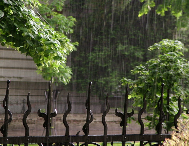 Cara Menjadi Putri Duyung Jakarta Asli Puput Setiyawan