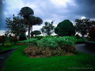 Garden View With Cloudy Sky In The Afternoon Of The Park At Badung, Bali, Indonesia