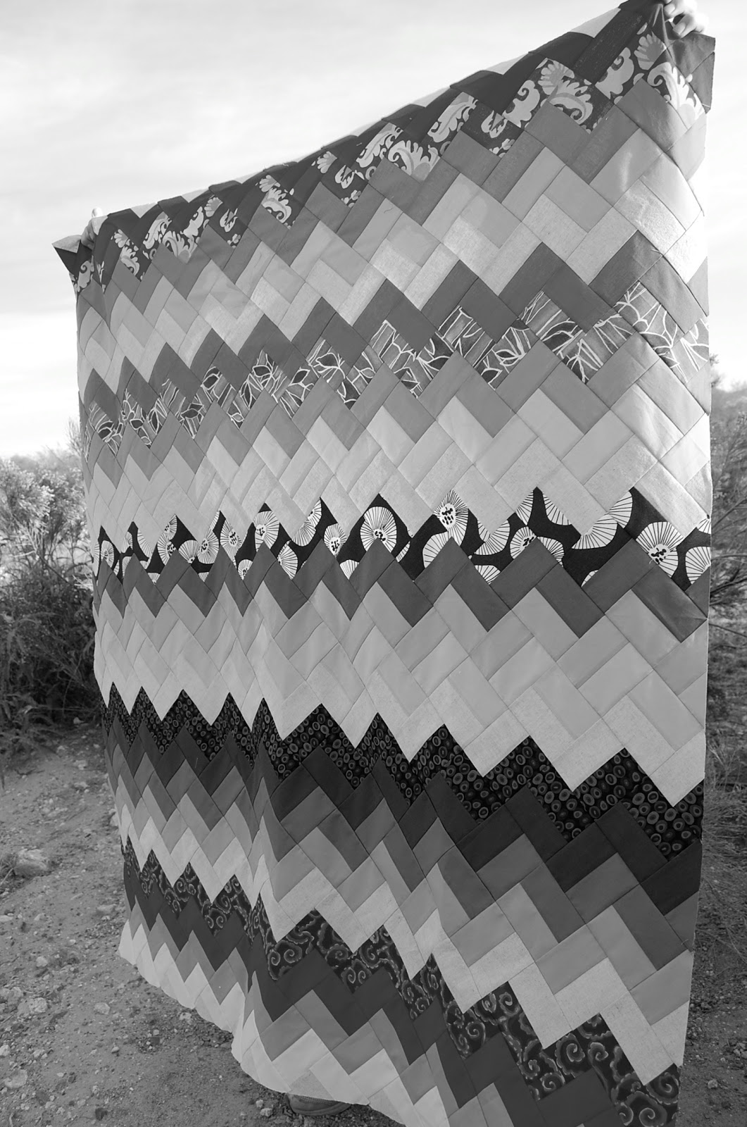 Melissa Loves Color Value Added QAL {Quilt Top}