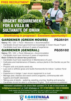 Gulf%2BJob%2BPaper%2B%252834%2529