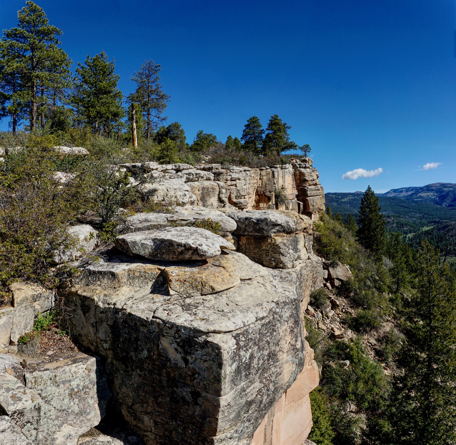 Earthline: The American West: Barnroof Point, 8,723', Durango, Colorado
