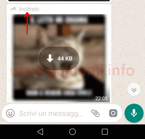WhatsApp messaggio con etichetta Inoltrato