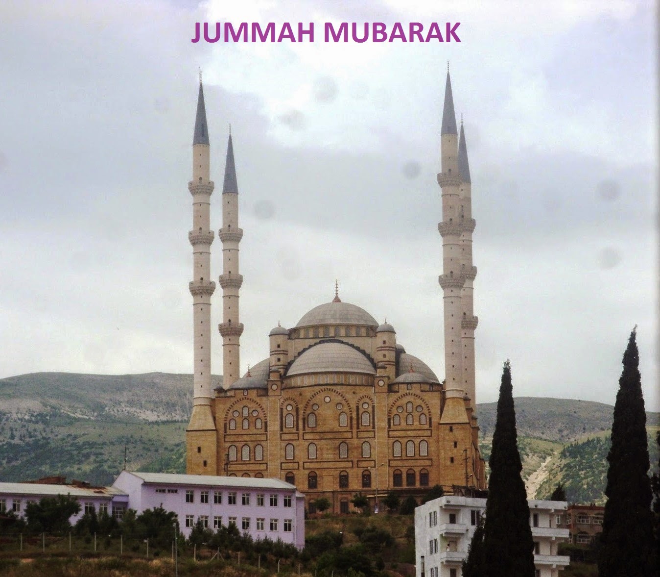 JUMMA MUBARAK