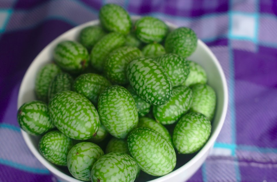 Know More About Cucamelon Tangy Mexican Sour Gherkin
