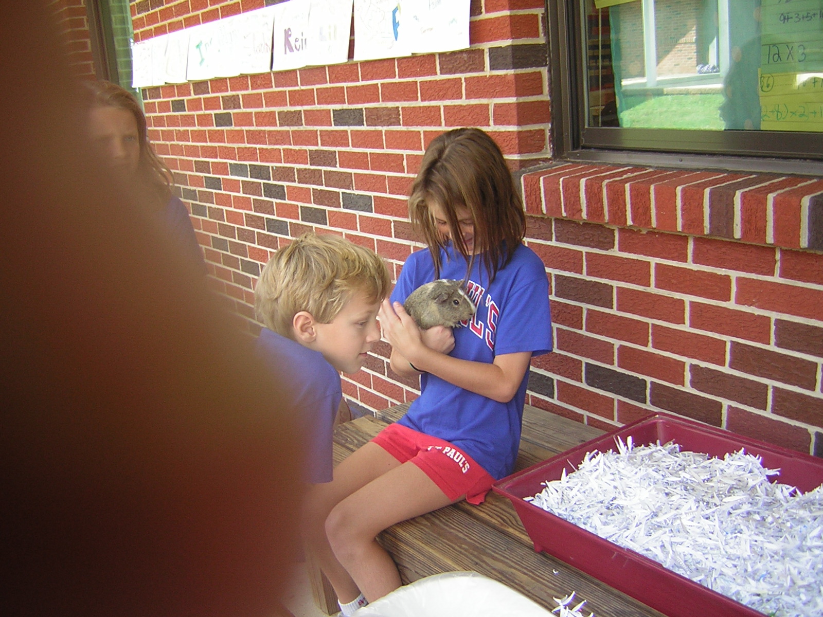 Mrs. Benton's Class Pet Keeper of the Week