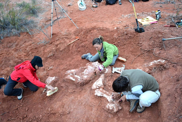 El hallazgo de un fósil en Argentina adelanta el origen del gigantismo