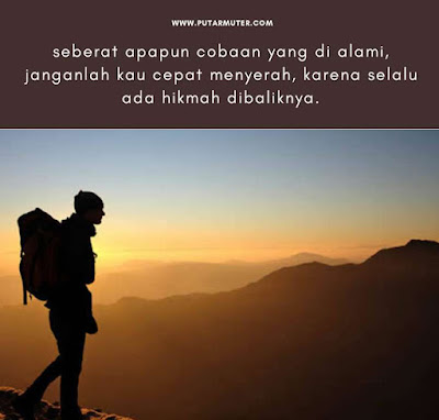 kata pepatah bijak