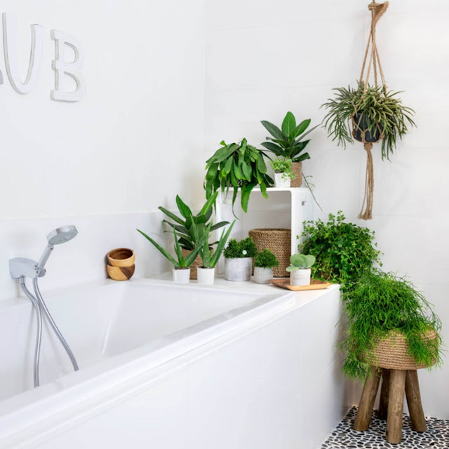 Bathroom%2Bindoor%2Bplant%2Bdesigns%2B%252828%2529