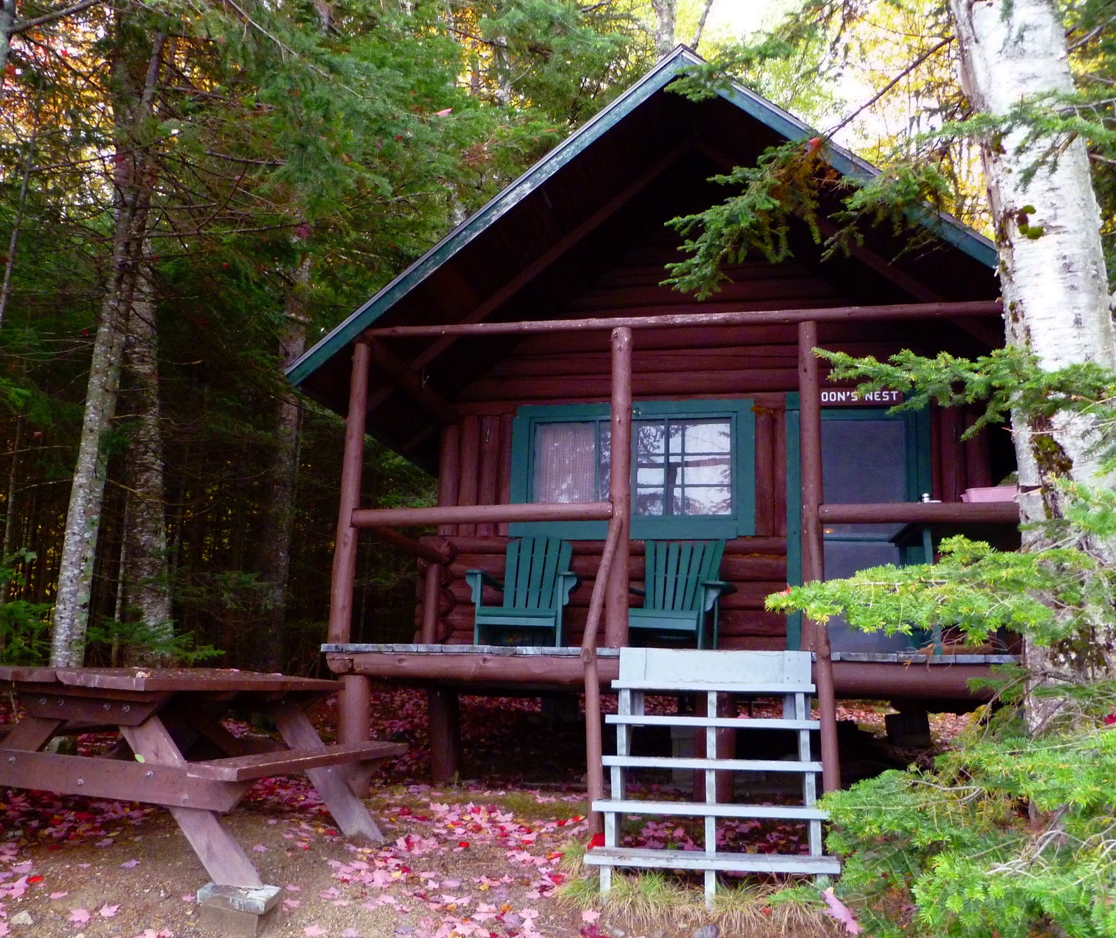 The Log Blog It S The Browns And The Greens The Cabins In Baxter