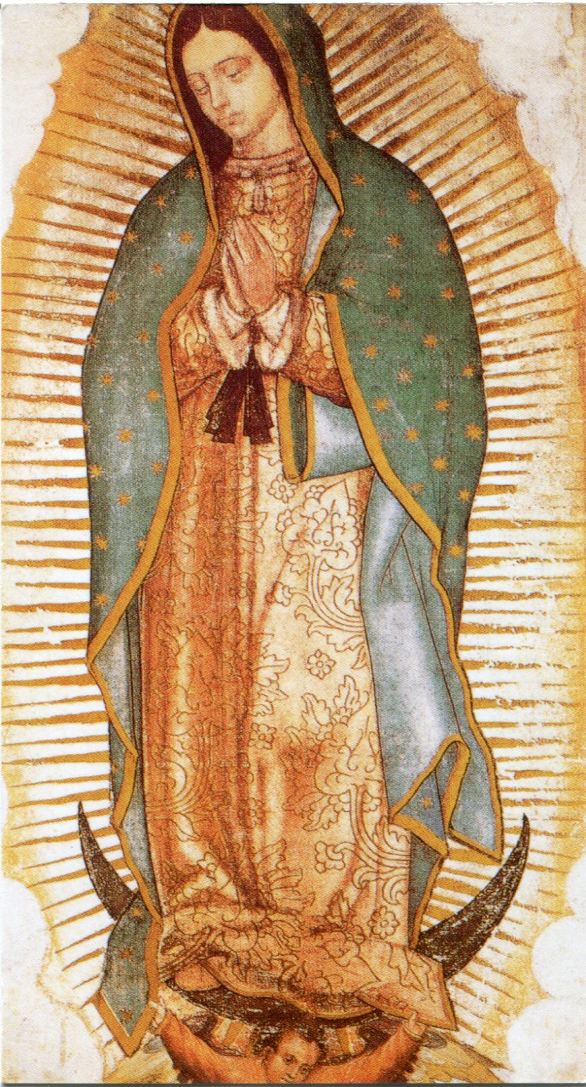 Oggi Iniziamo La Novena Alla Vergine Di Guadalupe - Foto 7