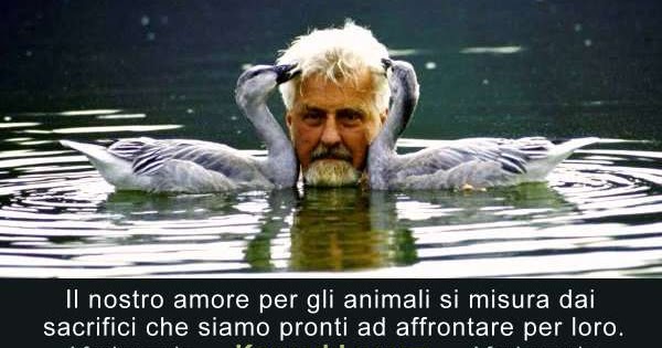 Aforismario Frasi Animaliste E Sui Diritti Degli Animali