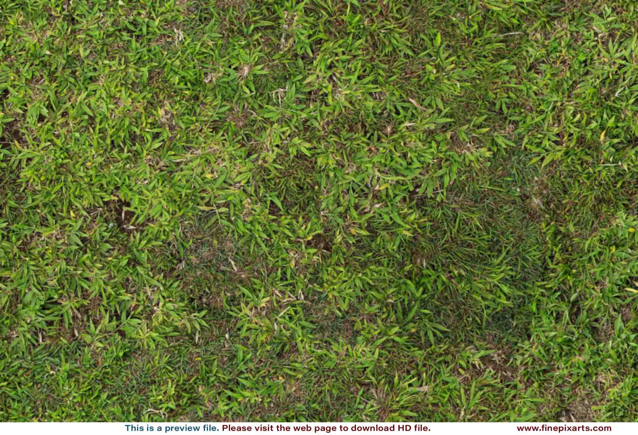 Grass texture 00002