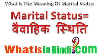 what is the meaning of marital status in hindi