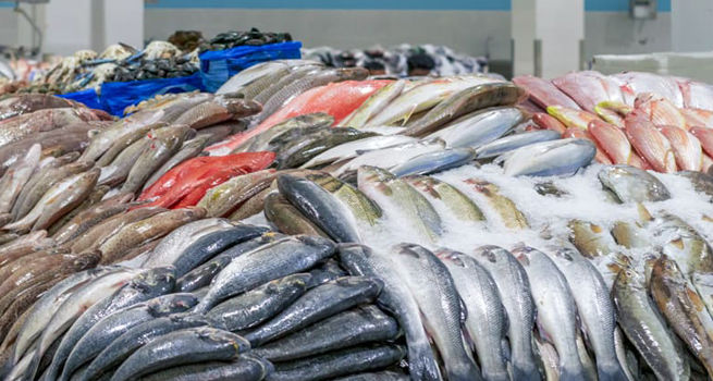  Fish shopping at Deira