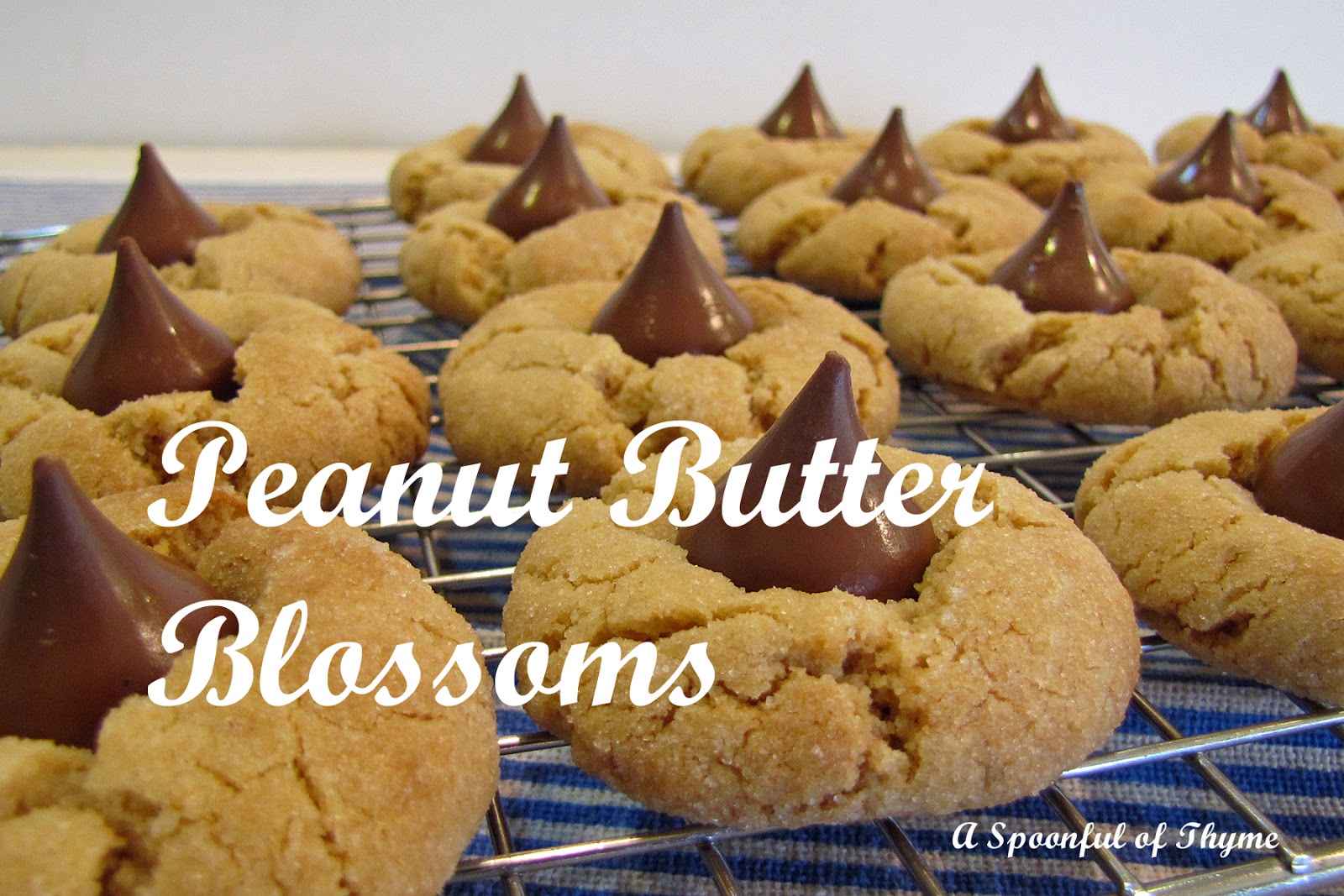 Peanut Butter Blossoms