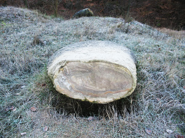 Βράχια μεγαλώνουν με τη βροχή και… περπατάνε!