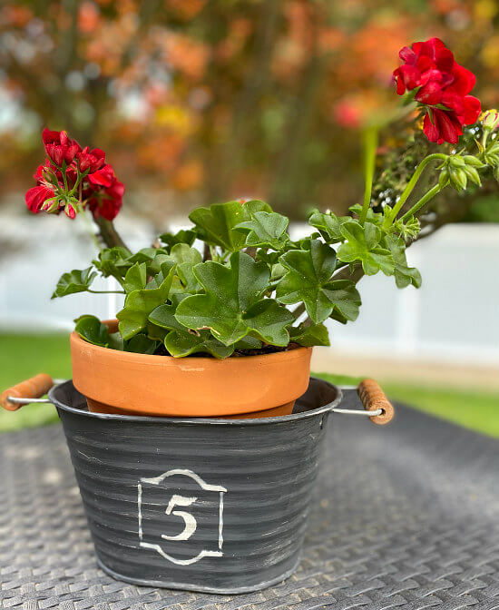 black painted metal container with a stencil and geranium