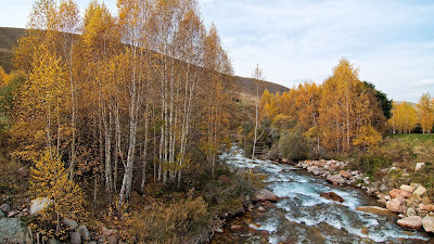 HD Wallpaper River, Trees, Hill, Nature, Landscape