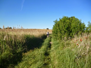 Inicio de ruta