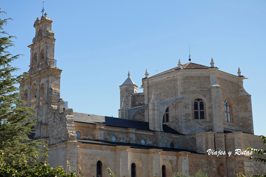 Monasterio de la Vid