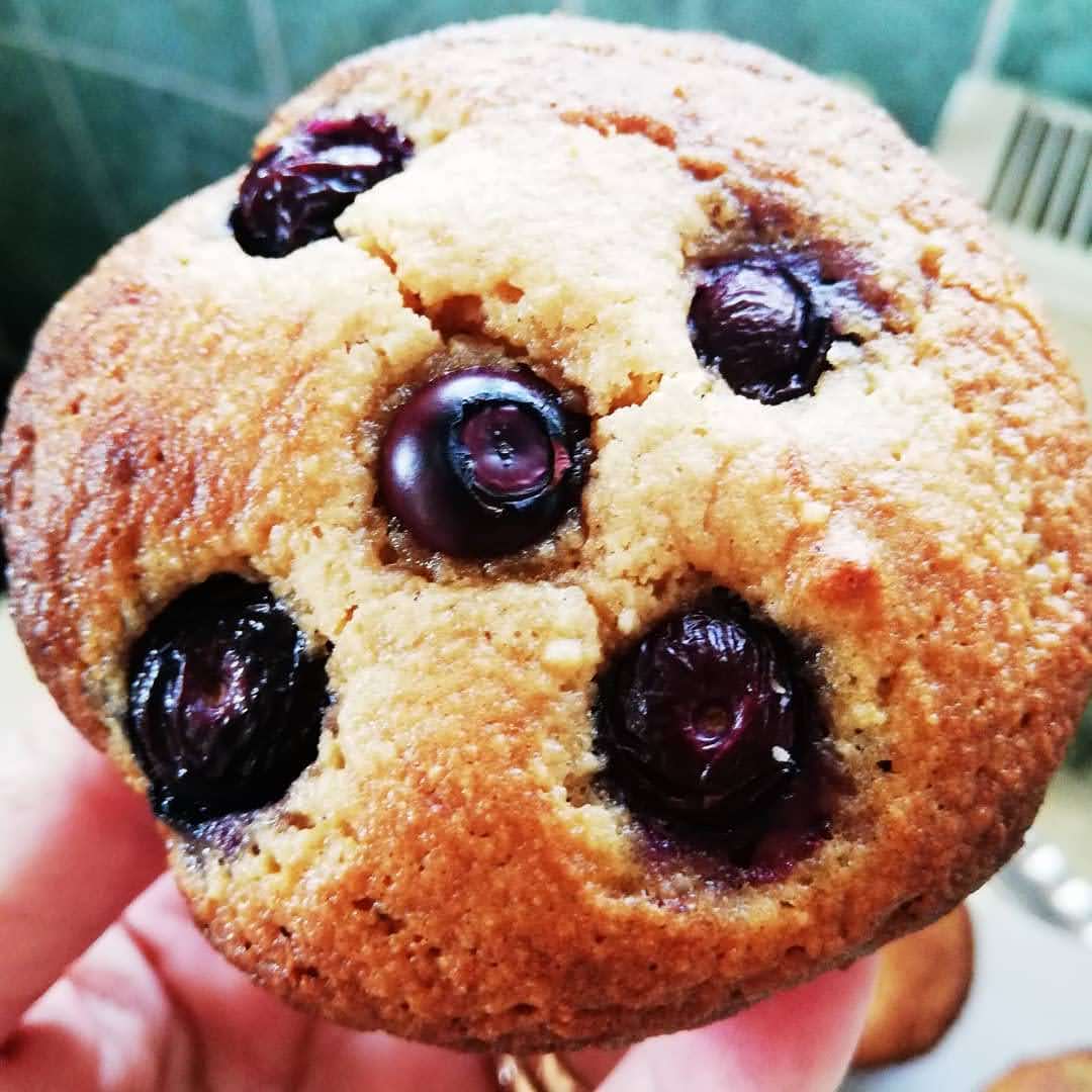 Muffins cu afine rețetă PALEO (AIP cu reintroduceri)