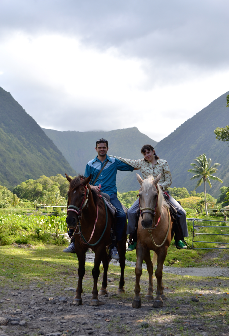 Unfurled Waipio Valley Horseback Ride