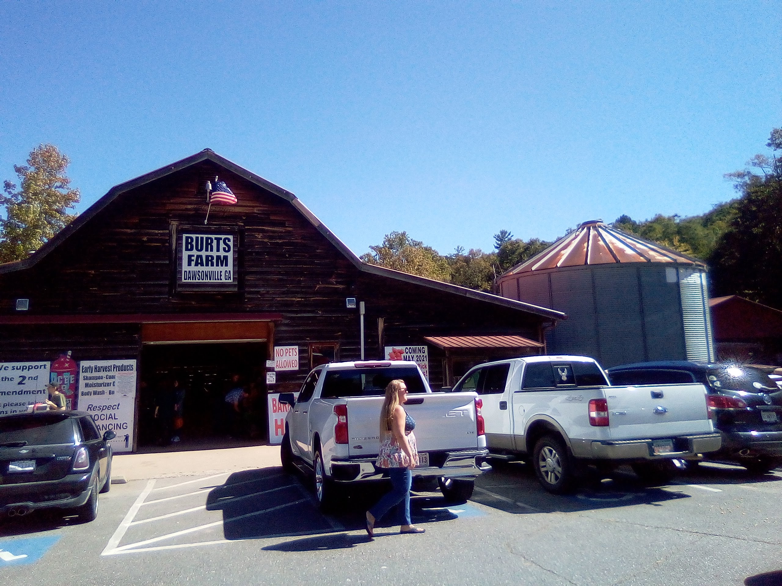 Another Mile Another Destination Blog Burt’s Pumpkin Farm, Dawsonville
