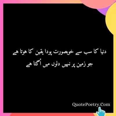 Trust Quotes In urdu - Quote Poetry
